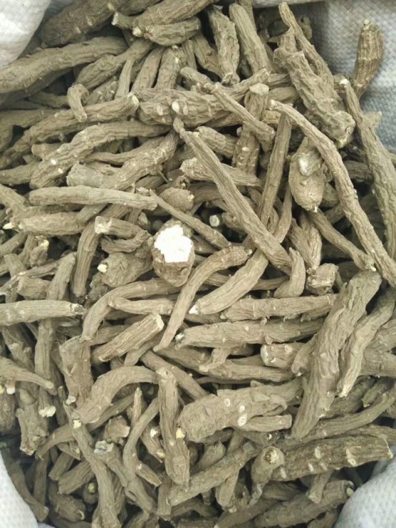 天雄，野生大货，天雄个子，别名白幕，乌头根