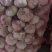 【荐】金乡大蒜一手货源，常年代发代存，各种包装，全国发货