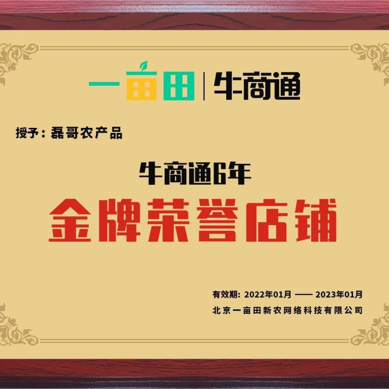 河北大黄姜生姜一手货源基地直发可视频看货欢迎来电