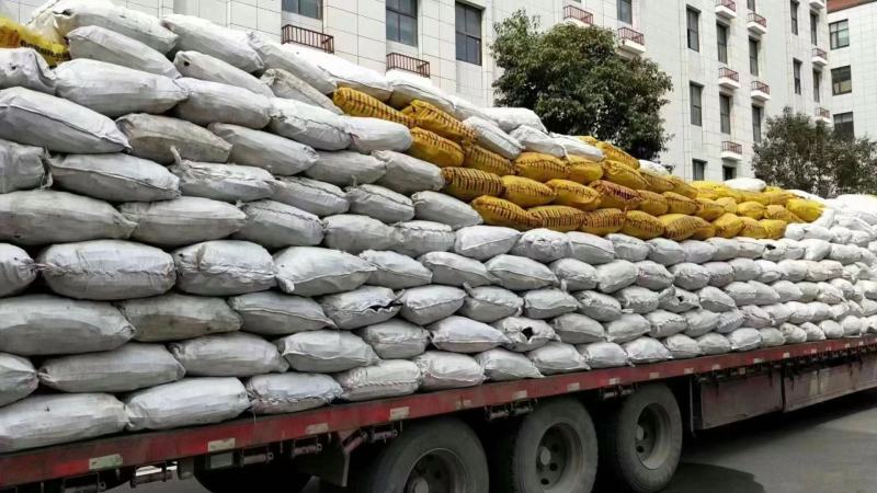 便秘果缅甸腊肠果一手货源基地直供天然便秘果地摊展会货