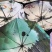 黑胶太阳伞批发夏季热销产品遮阳