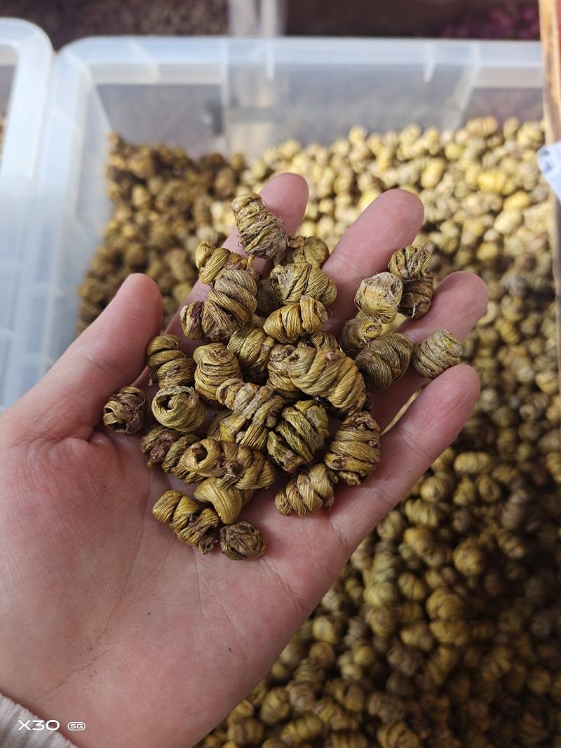 铁皮石斛石斛枫斗无硫上品货紫皮石斛铜皮石斛
