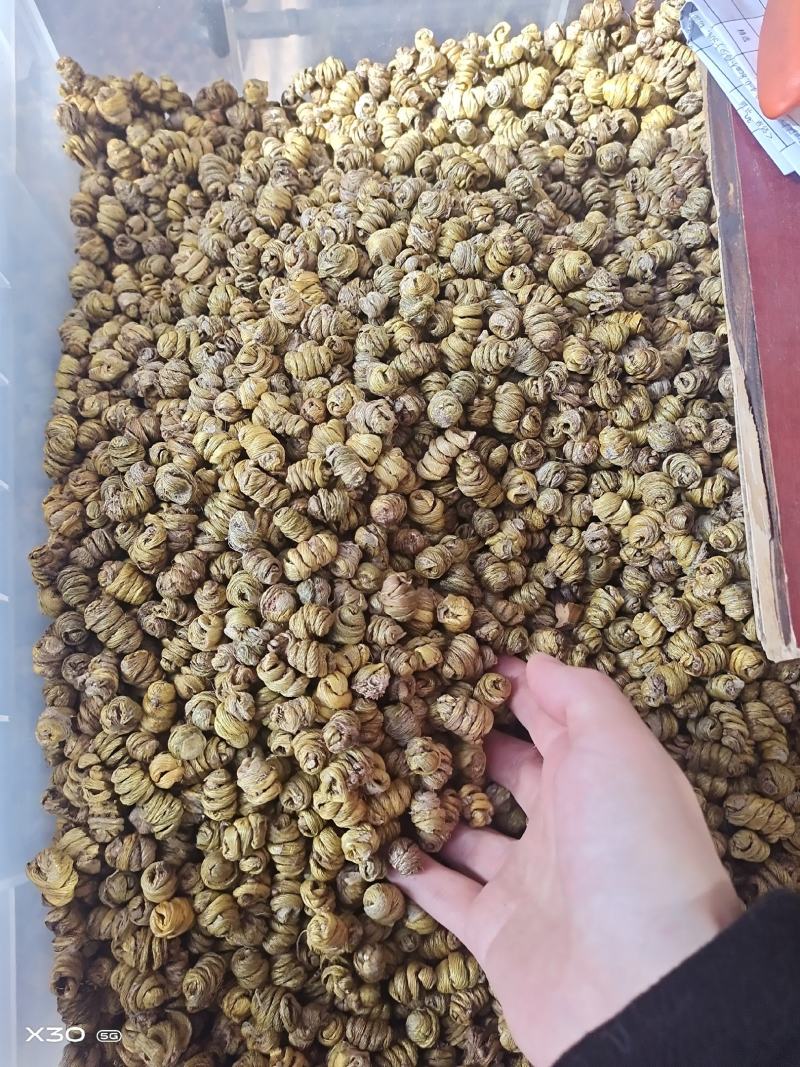 铁皮石斛石斛枫斗无硫上品货紫皮石斛铜皮石斛