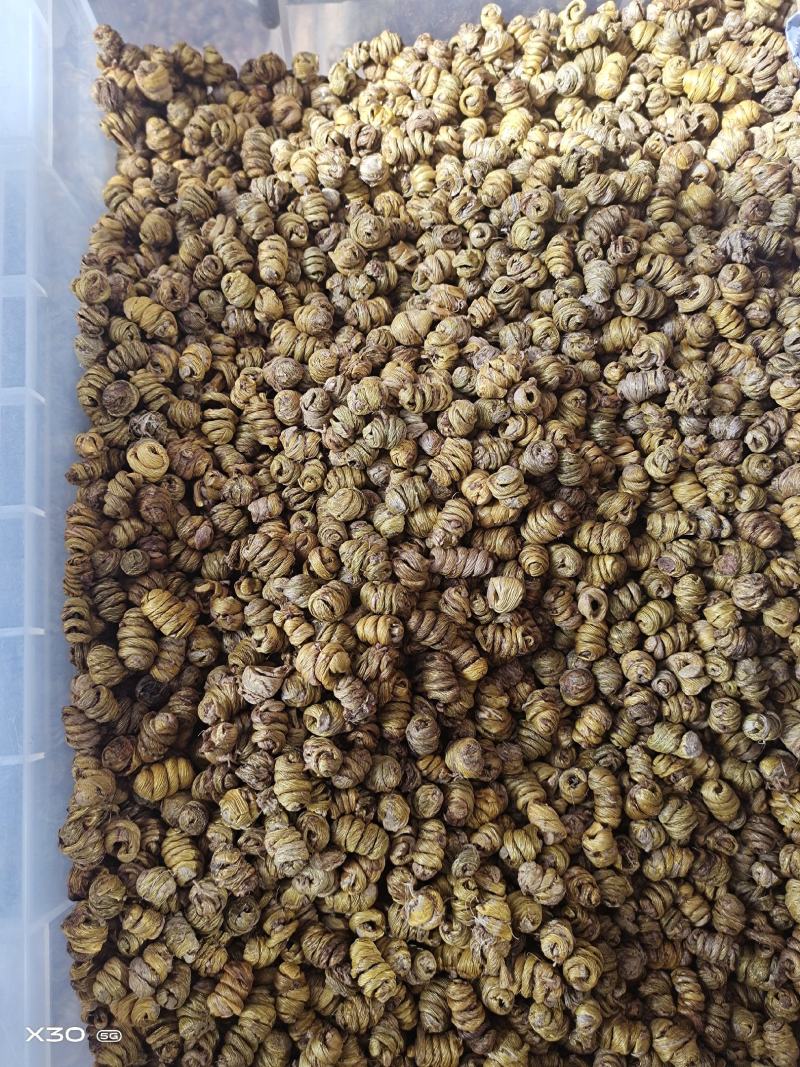 铁皮石斛石斛枫斗无硫上品货紫皮石斛铜皮石斛
