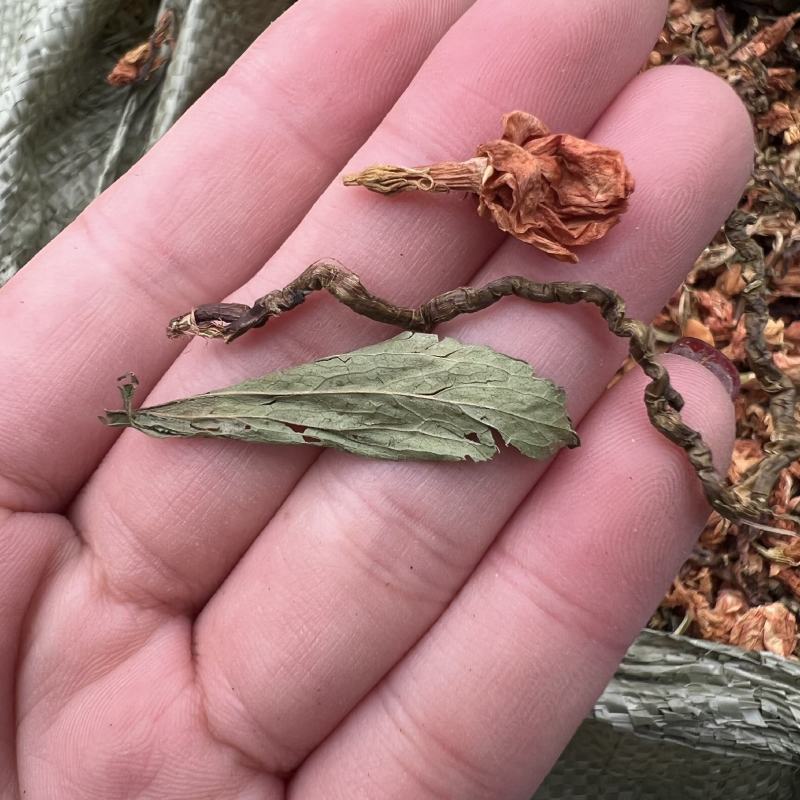 百花益寿茶多种规格厂家直销夏季泡茶好产品