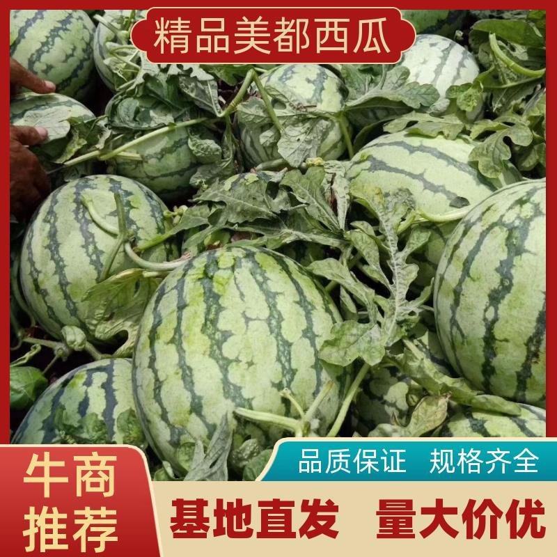 河南大棚美都西瓜，货量充足，甜度高口感好，质量负责到底