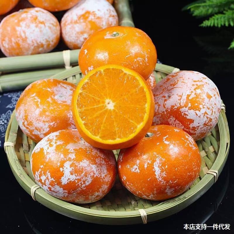 广西默科特，大量上市，价格便宜，招全国各地档口果商老板