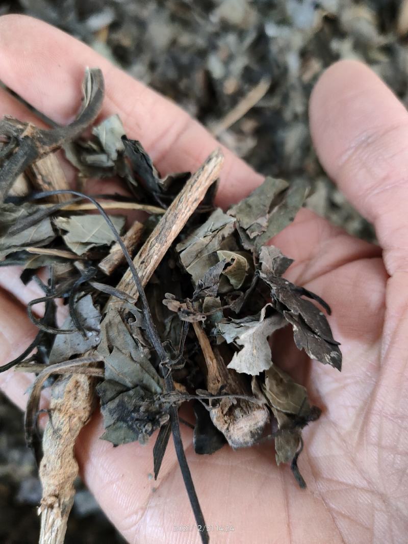 广西大山中草药鸡屎藤鸡矢藤臭屁藤全草干品