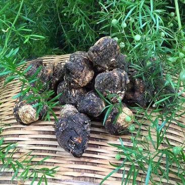 黑玛卡玛咖干果泡酒泡茶料泡水炖汤磨粉方式食用