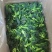 【好货】油菜菜芯，大量有货，一手货源，欢迎咨询