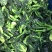 【好货】油菜菜芯，大量有货，一手货源，欢迎咨询