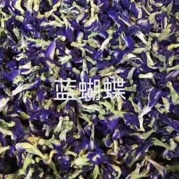 蓝蝴蝶干货蝶豆花蓝蝴蝶大量现货一手货源批发大货