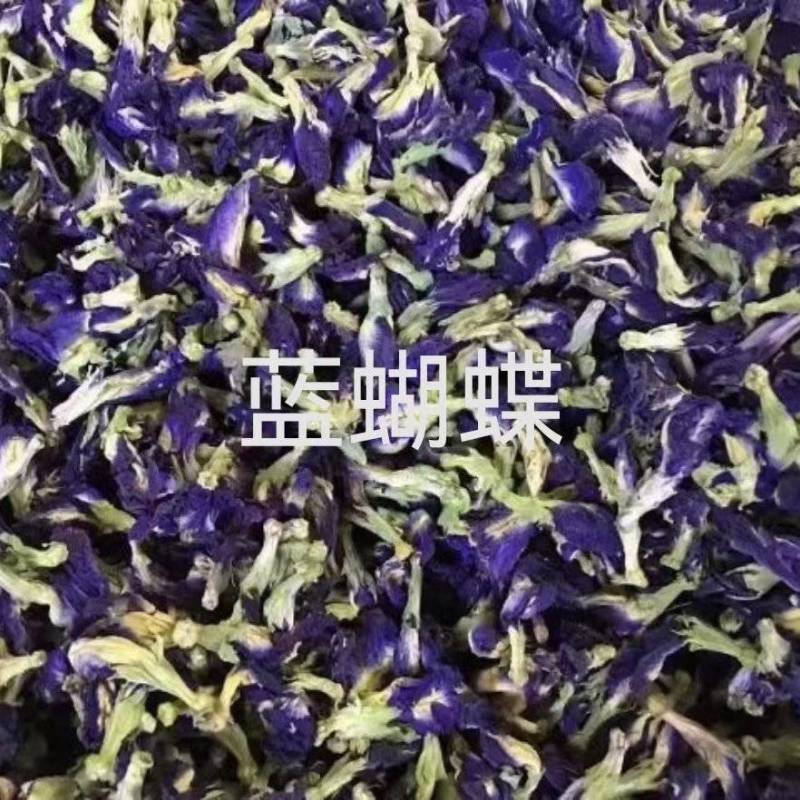 蓝蝴蝶干货蝶豆花蓝蝴蝶大量现货一手货源批发大货