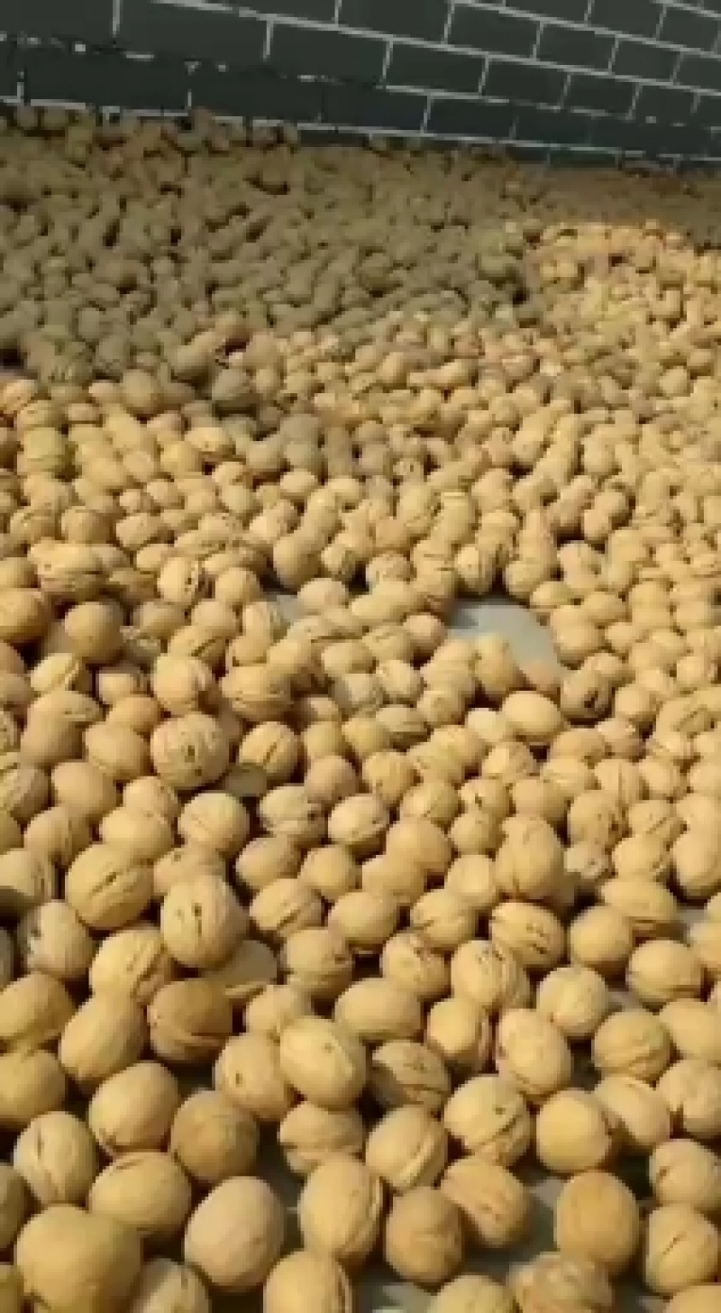 去皮鲜核桃产地大量现货，大量供应规格品种齐全