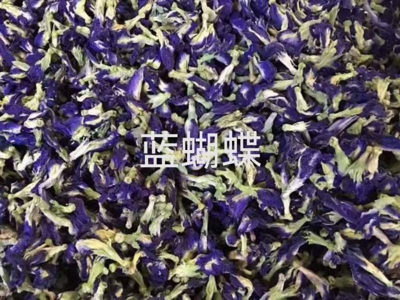 蓝蝴蝶干货蝶豆花蓝蝴蝶大量现货一手货源批发大货