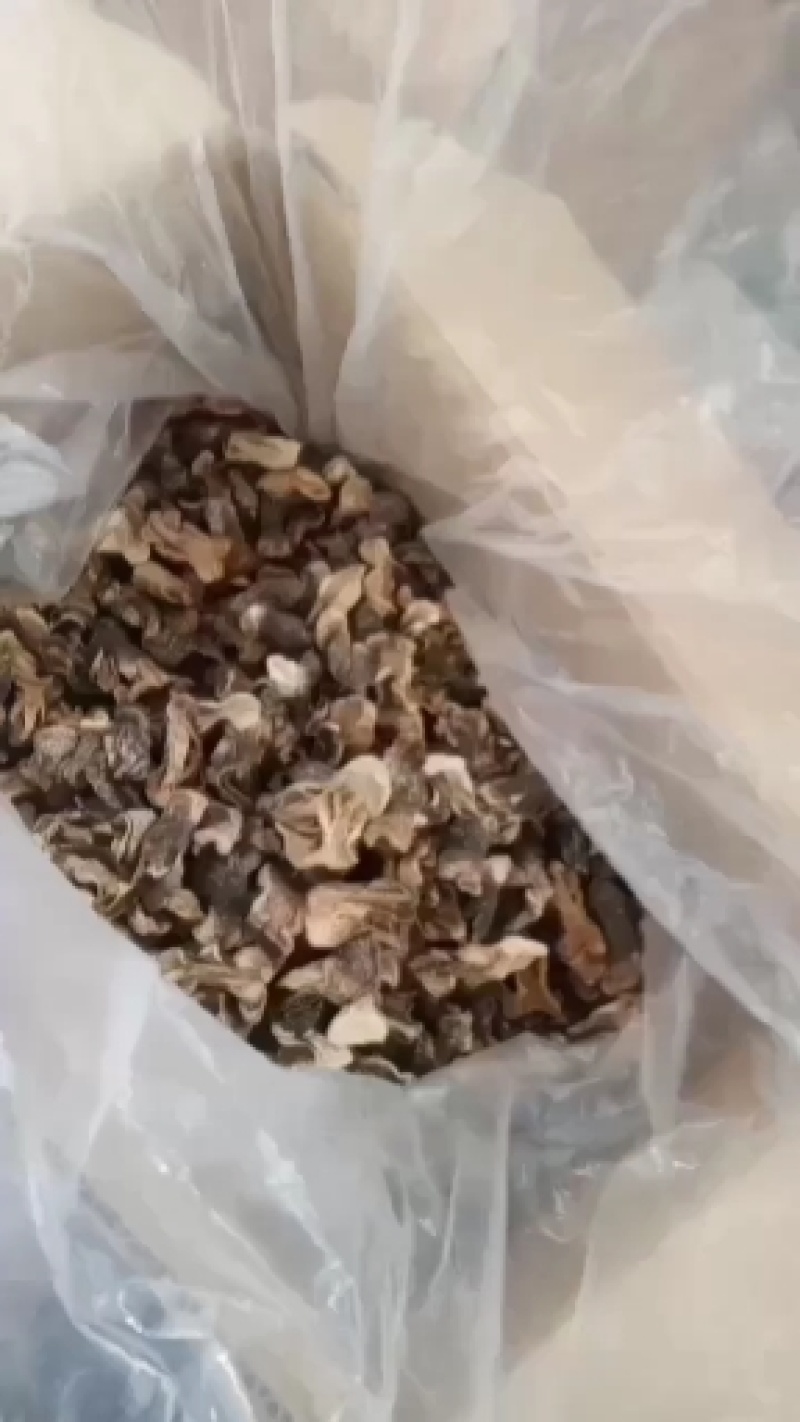 自种的干草菇，质优价廉。一首货源，没有中间商