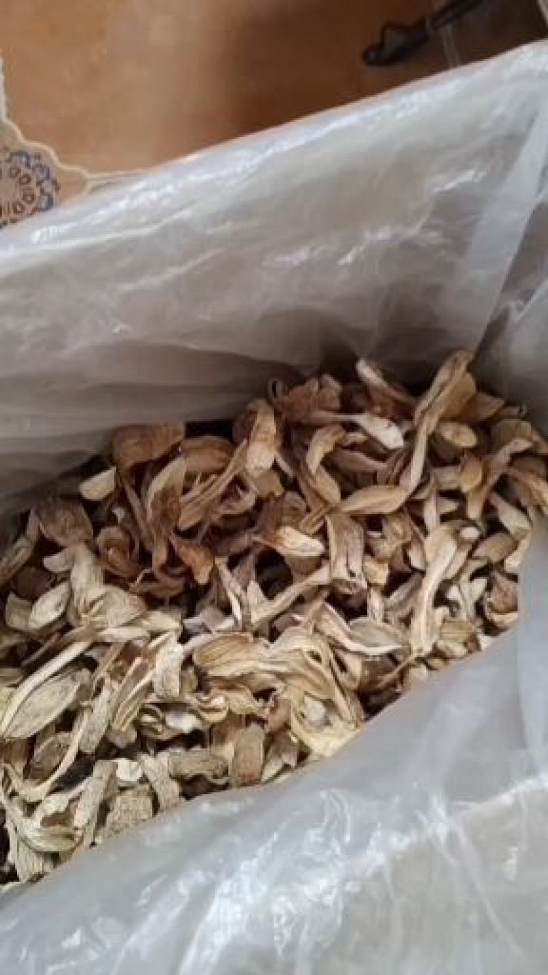 鸡腿菇