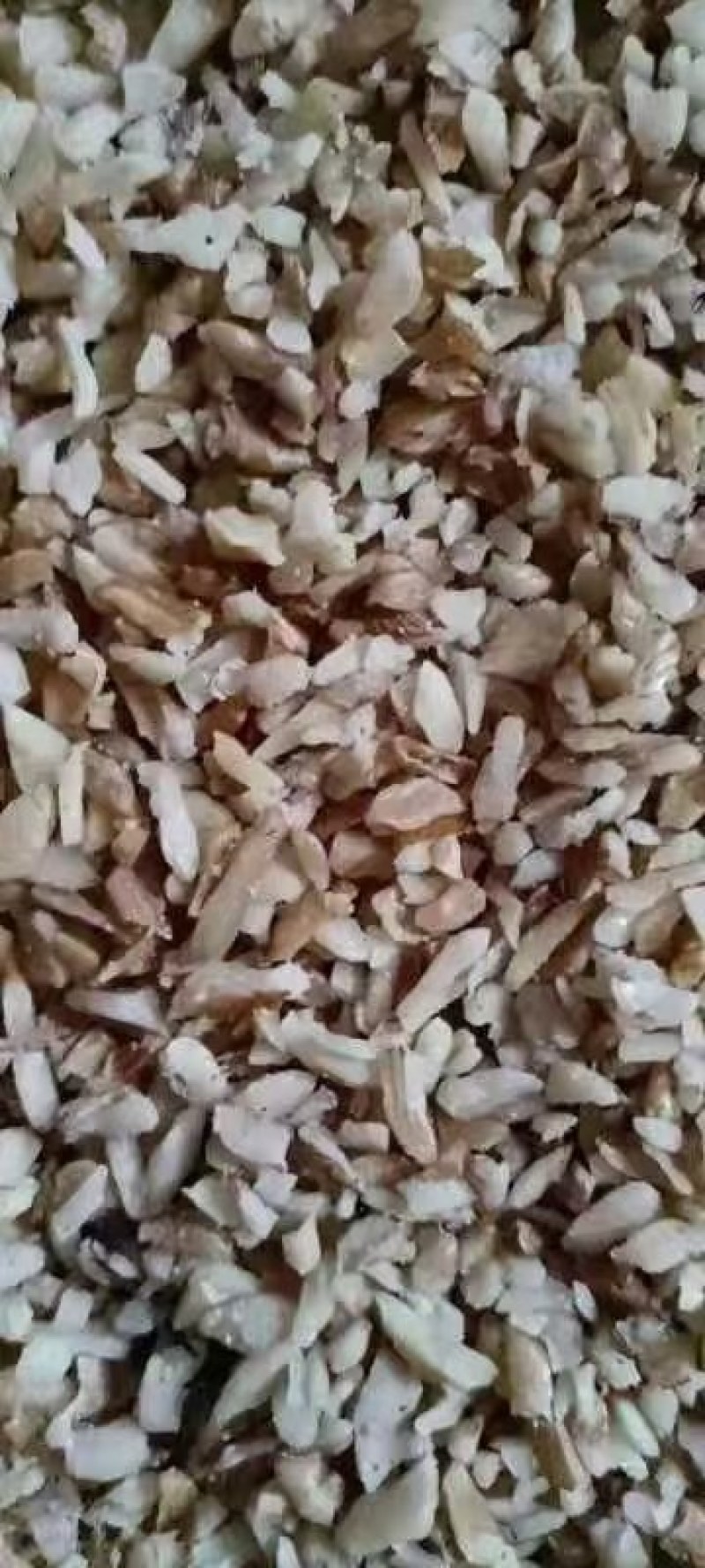 东北碎核桃仁