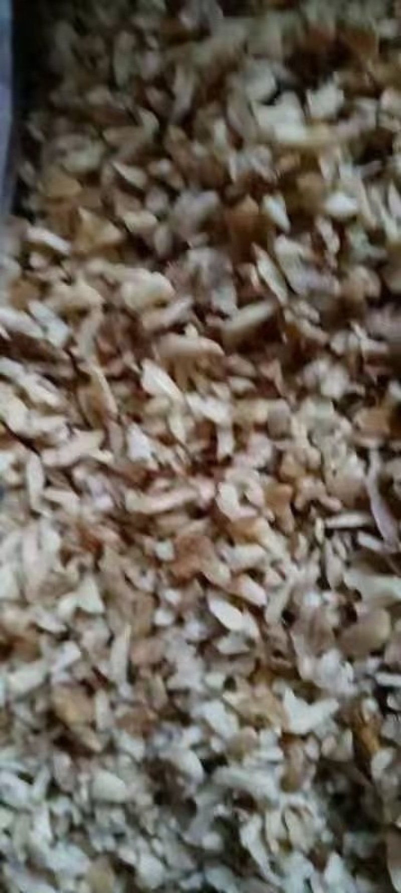 东北碎核桃仁