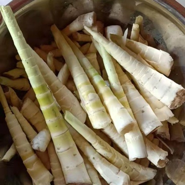 罗汉笋，有需要的下单