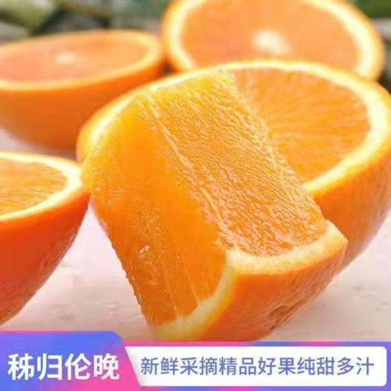 橙子，秭归伦晚橙，湖北伦晚脐橙甜如蜜的橙，可视频看货。