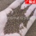 菟丝子水洗内蒙含量高新货无杂质吐丝籽兔丝籽菟丝籽