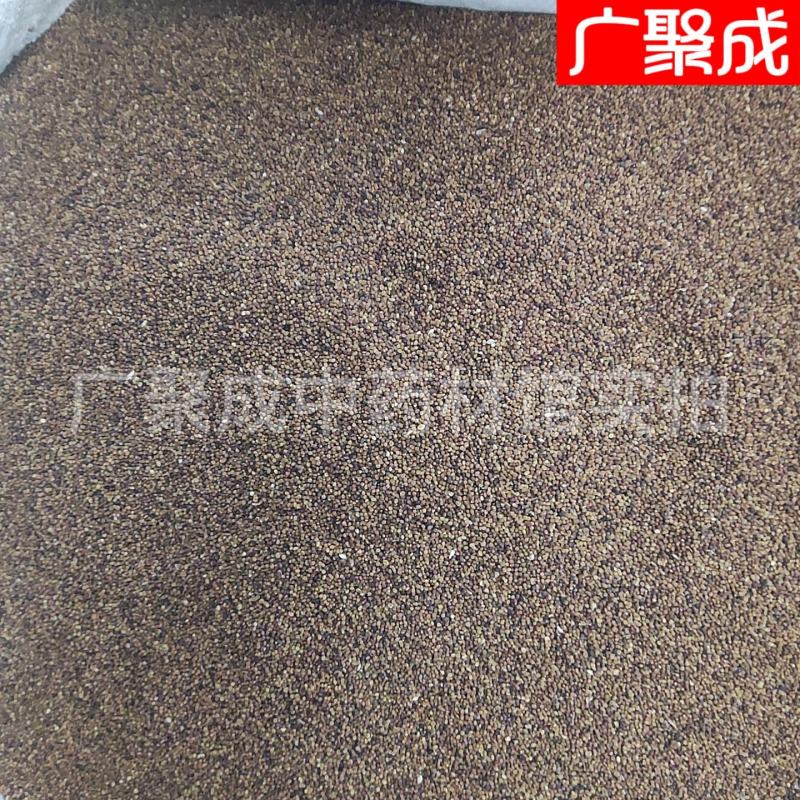 菟丝子水洗内蒙含量高新货无杂质吐丝籽兔丝籽菟丝籽