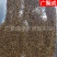 菟丝子水洗内蒙含量高新货无杂质吐丝籽兔丝籽菟丝籽