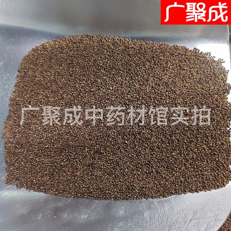 菟丝子水洗内蒙含量高新货无杂质吐丝籽兔丝籽菟丝籽