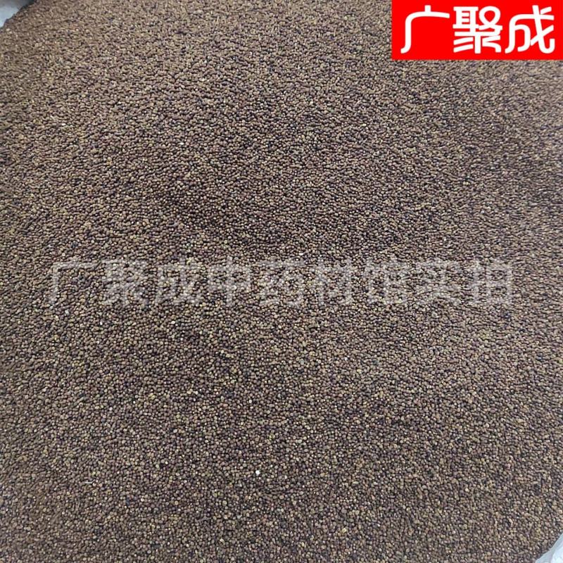 菟丝子水洗内蒙含量高新货无杂质吐丝籽兔丝籽菟丝籽