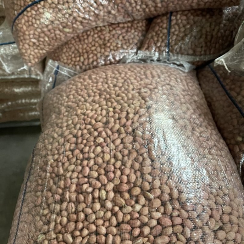 优质花生米产地直销大量供应规格品种齐全大量油料米商品米