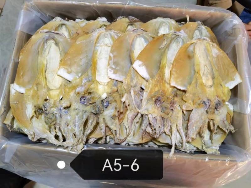 【**推荐】浙江东海墨鱼干水产海鲜一手货源口感鲜嫩全国批发