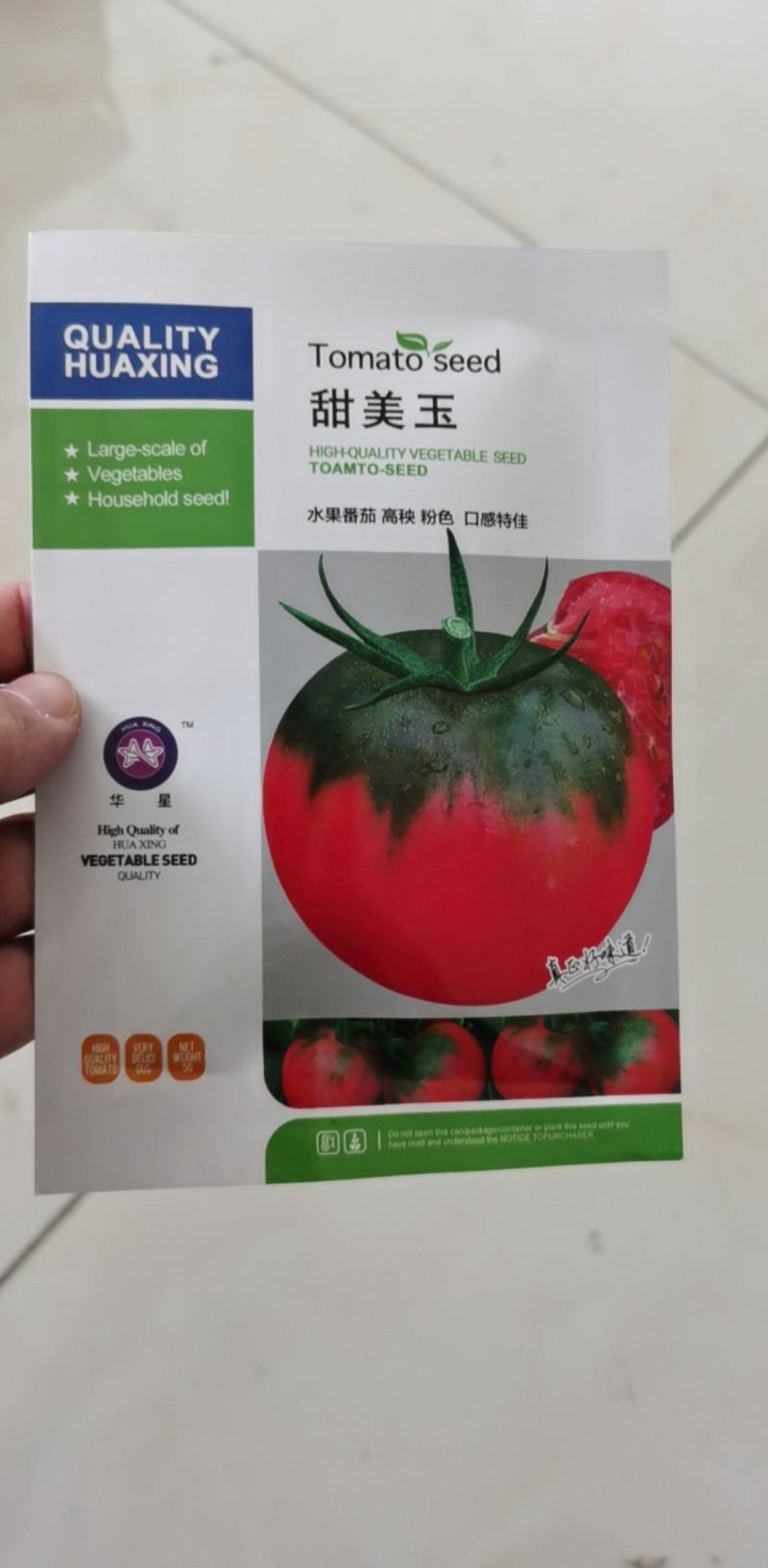 铁皮柿子种子口感好甜美玉无限生长坐果多长势强包邮