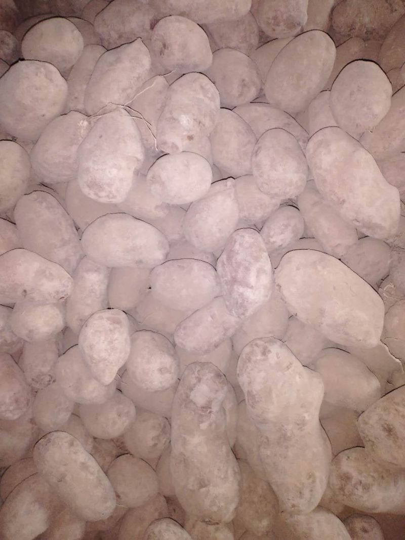 宁夏西吉红皮土豆，现挖现装杜绝一切不良行为。欢迎全国朋友