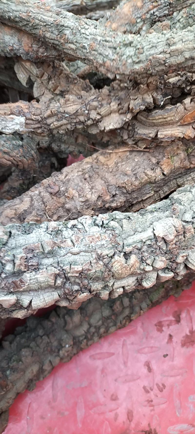 红藤大血藤资源减少产地货源