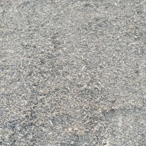 纯颗粒鹌鹑粪鹌鹑粪