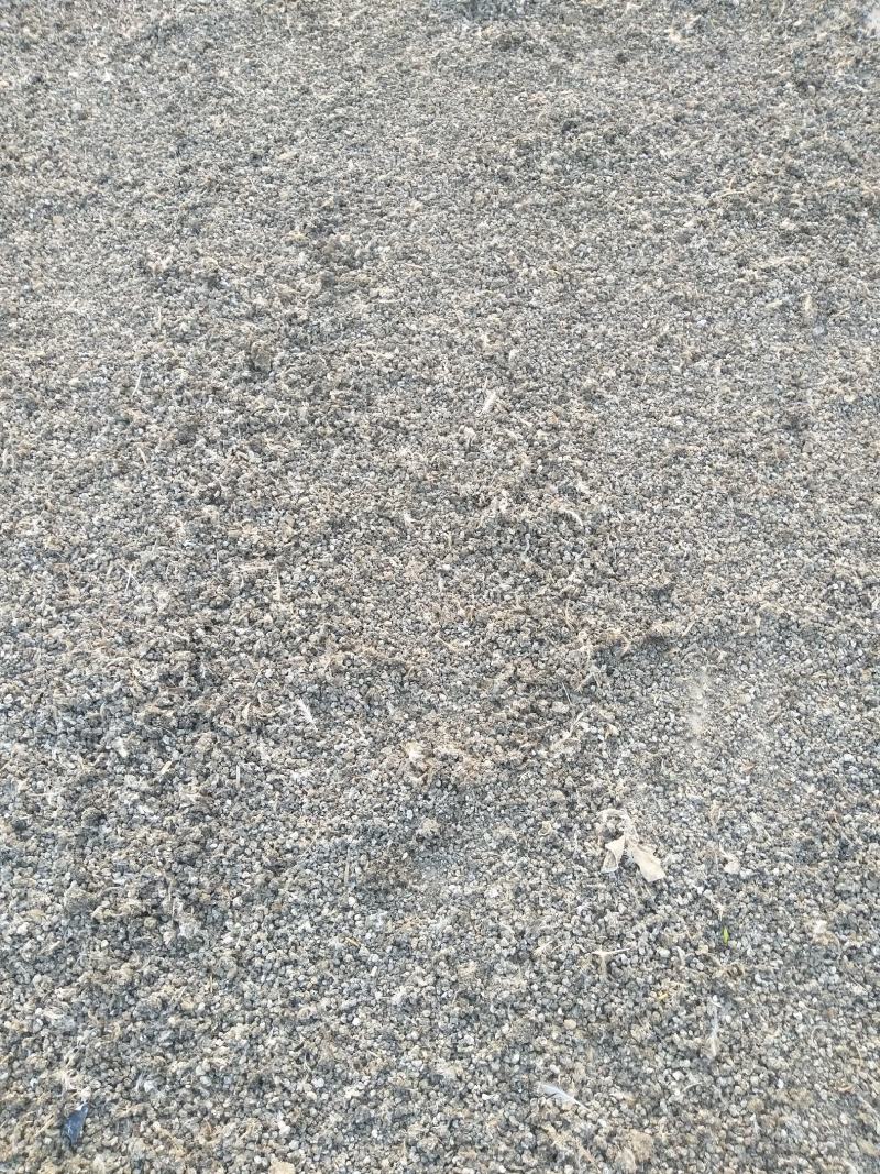 纯颗粒鹌鹑粪鹌鹑粪