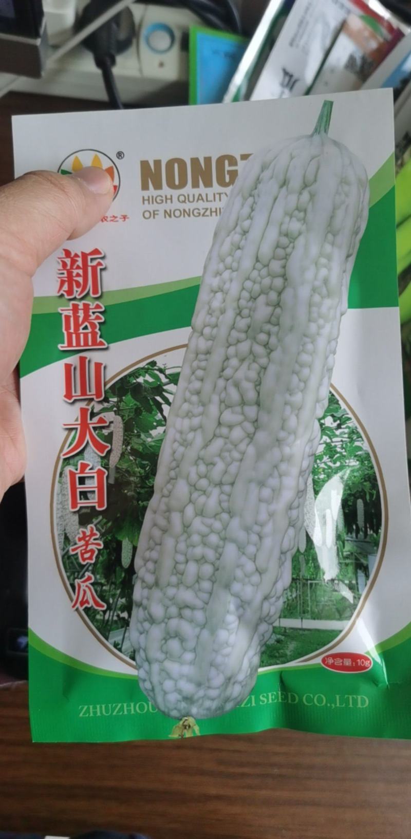 苦瓜种子长白苦瓜种子薄皮苦瓜种子高产抗病强基地种植
