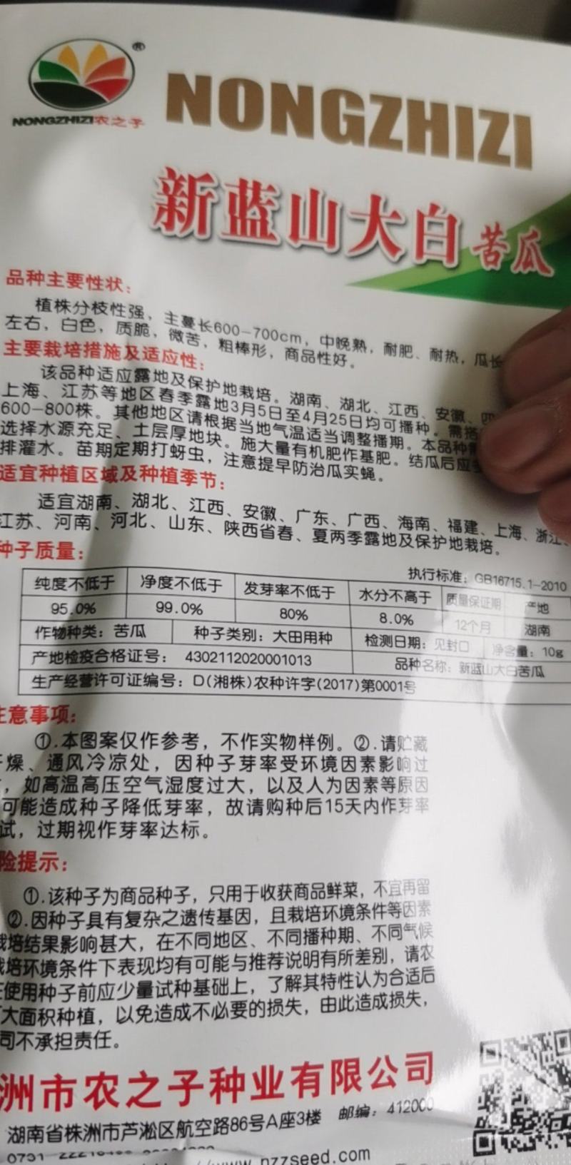 苦瓜种子长白苦瓜种子薄皮苦瓜种子高产抗病强基地种植