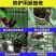 塑料网养殖鸡鸭鹅围栏网育雏苗网格垫鱼塘隔离栏网楼梯栏网