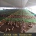 塑料网养殖鸡鸭鹅围栏网育雏苗网格垫鱼塘隔离栏网楼梯栏网