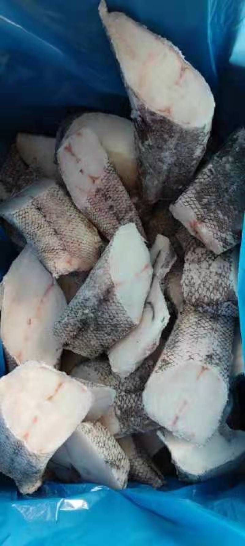 工厂直销店干冰鳕鱼片鳕鱼小块鳕鱼碎肉