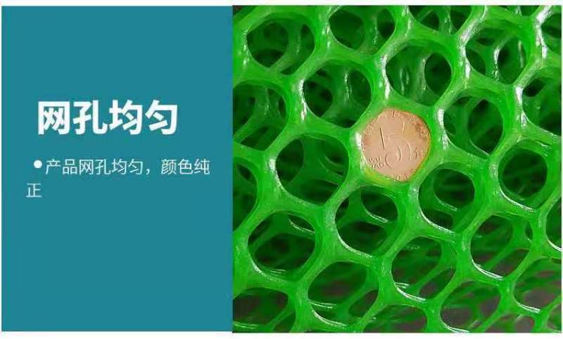 塑料网养殖鸡鸭鹅围栏网育雏苗网格垫鱼塘隔离栏网楼梯栏网