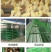 塑料网养殖鸡鸭鹅围栏网育雏苗网格垫鱼塘隔离栏网楼梯栏网