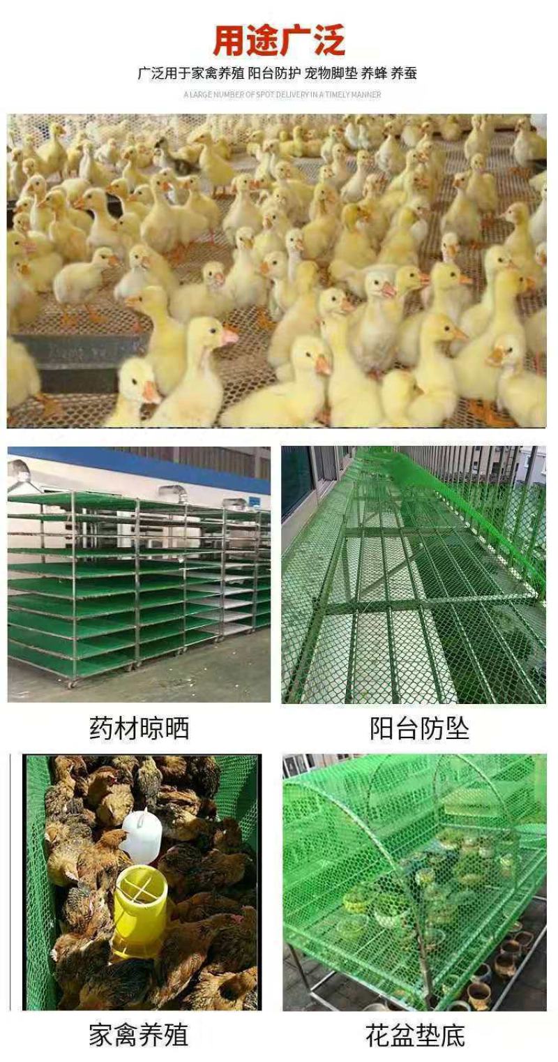 塑料网养殖鸡鸭鹅围栏网育雏苗网格垫鱼塘隔离栏网楼梯栏网
