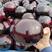 【推荐】河南精品紫光园茄大量上市中，产地直供，可视频看货