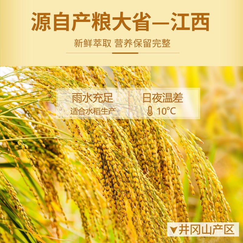 【包邮-5升稻米油】探花村纯米糠油稻米油5L富含谷维素