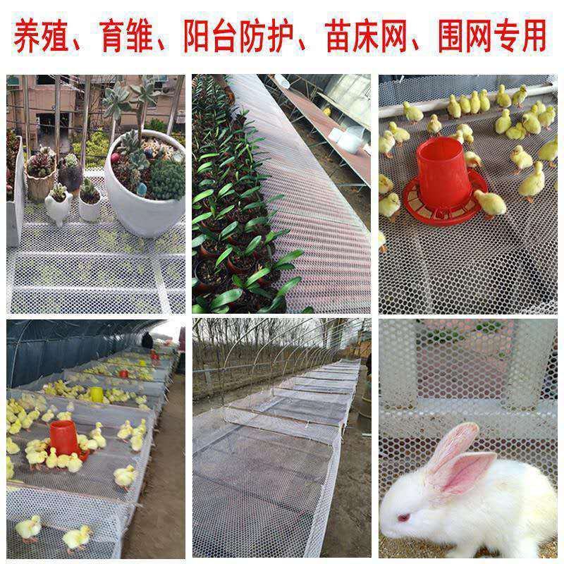 塑料养殖网养鸡养鸭围栏网阳台封窗防护防掉东西网育雏垫脚漏