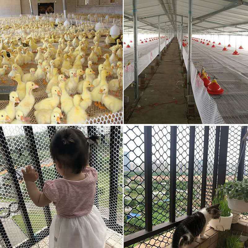塑料养殖网养鸡养鸭围栏网阳台封窗防护防掉东西网育雏垫脚漏
