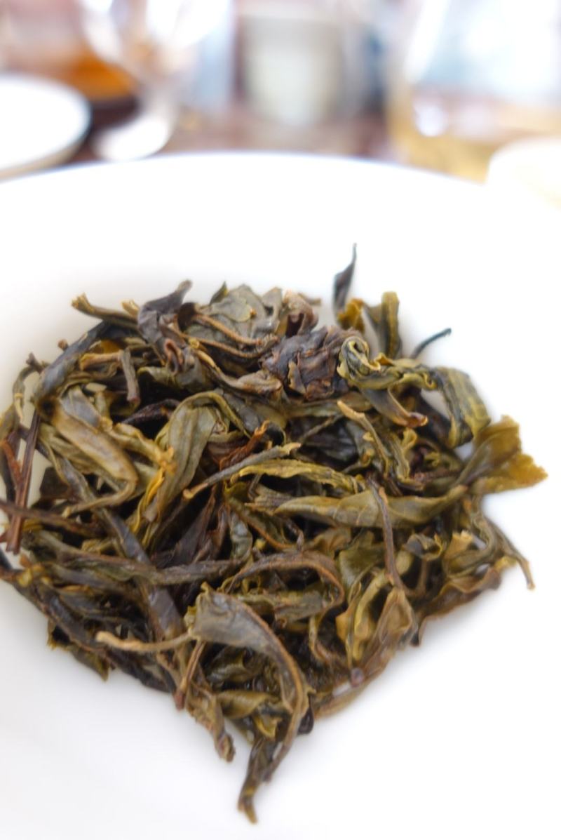 2022年新茶上市云南大理普洱生普头春茶生态野放茶散包邮